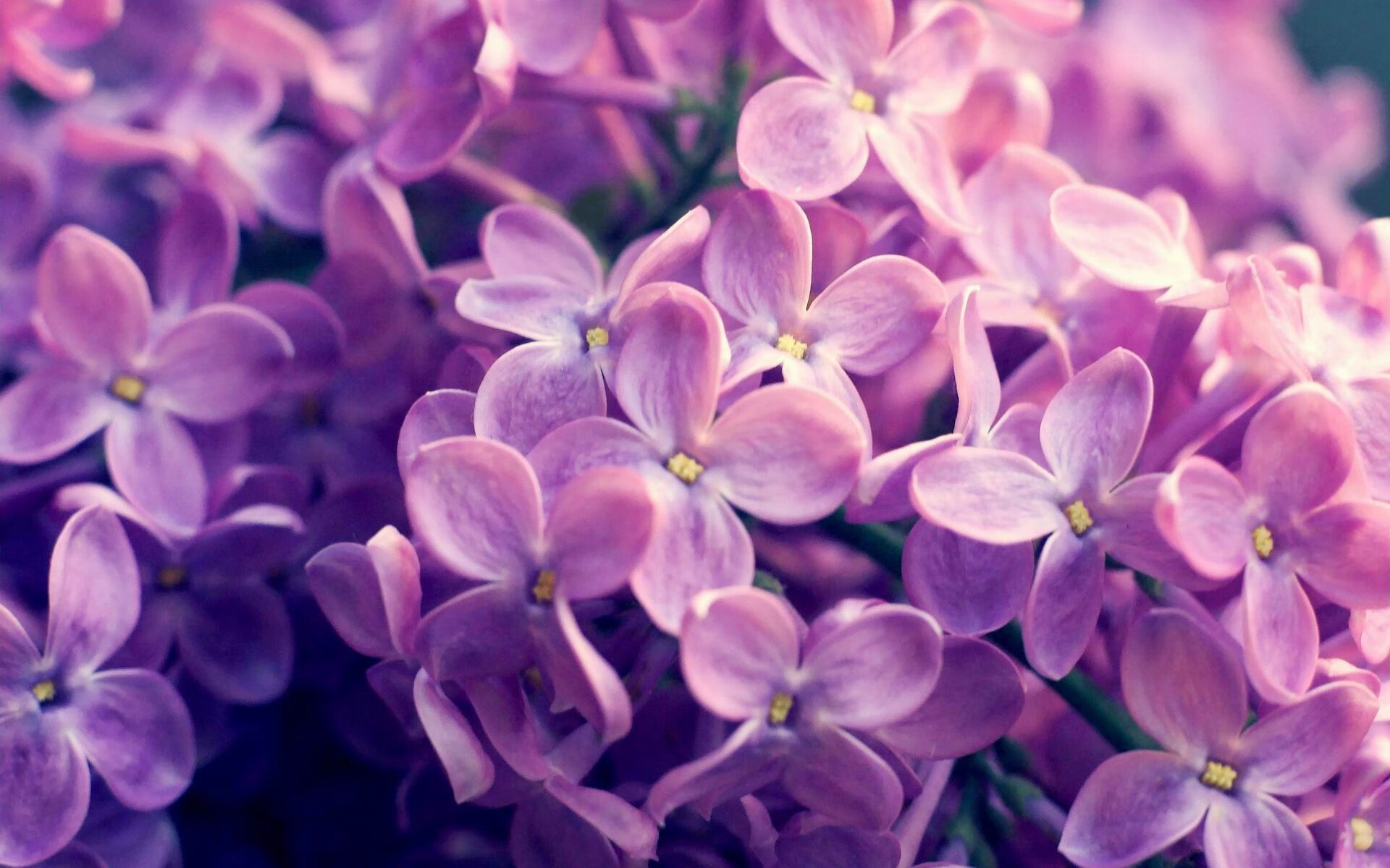 天秤上的沙粒,杜兰特在历史排名争夺战中的一役