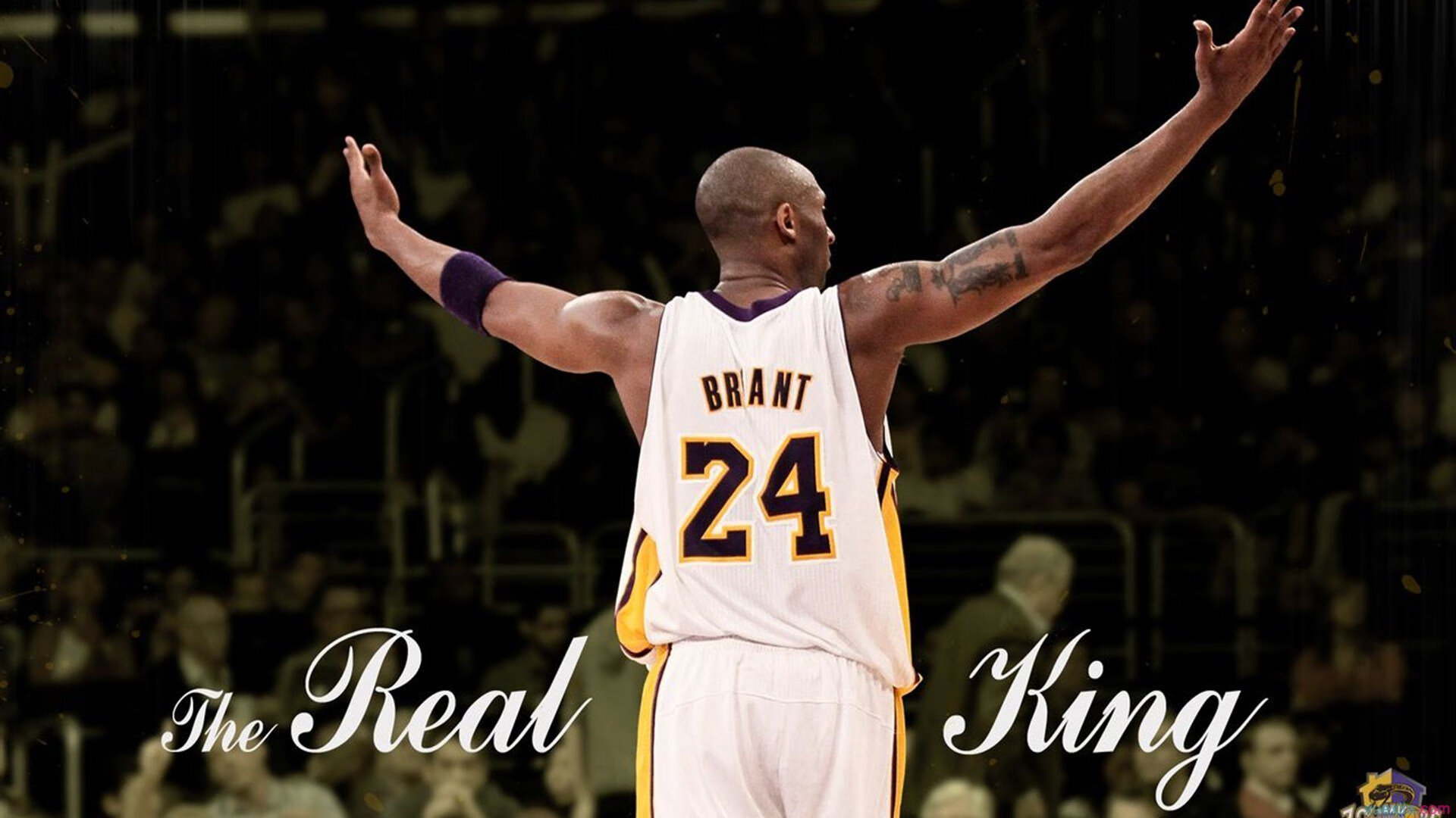 绿茵刺客现身赛道，弗拉霍维奇如何在F1争冠夜抢走所有镜头