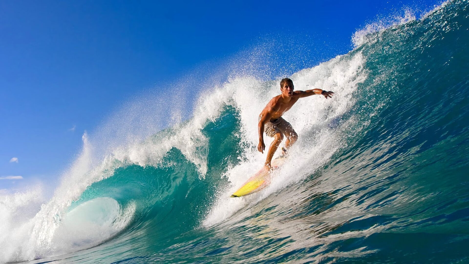 破晓时，我们掀翻了黄金权杖