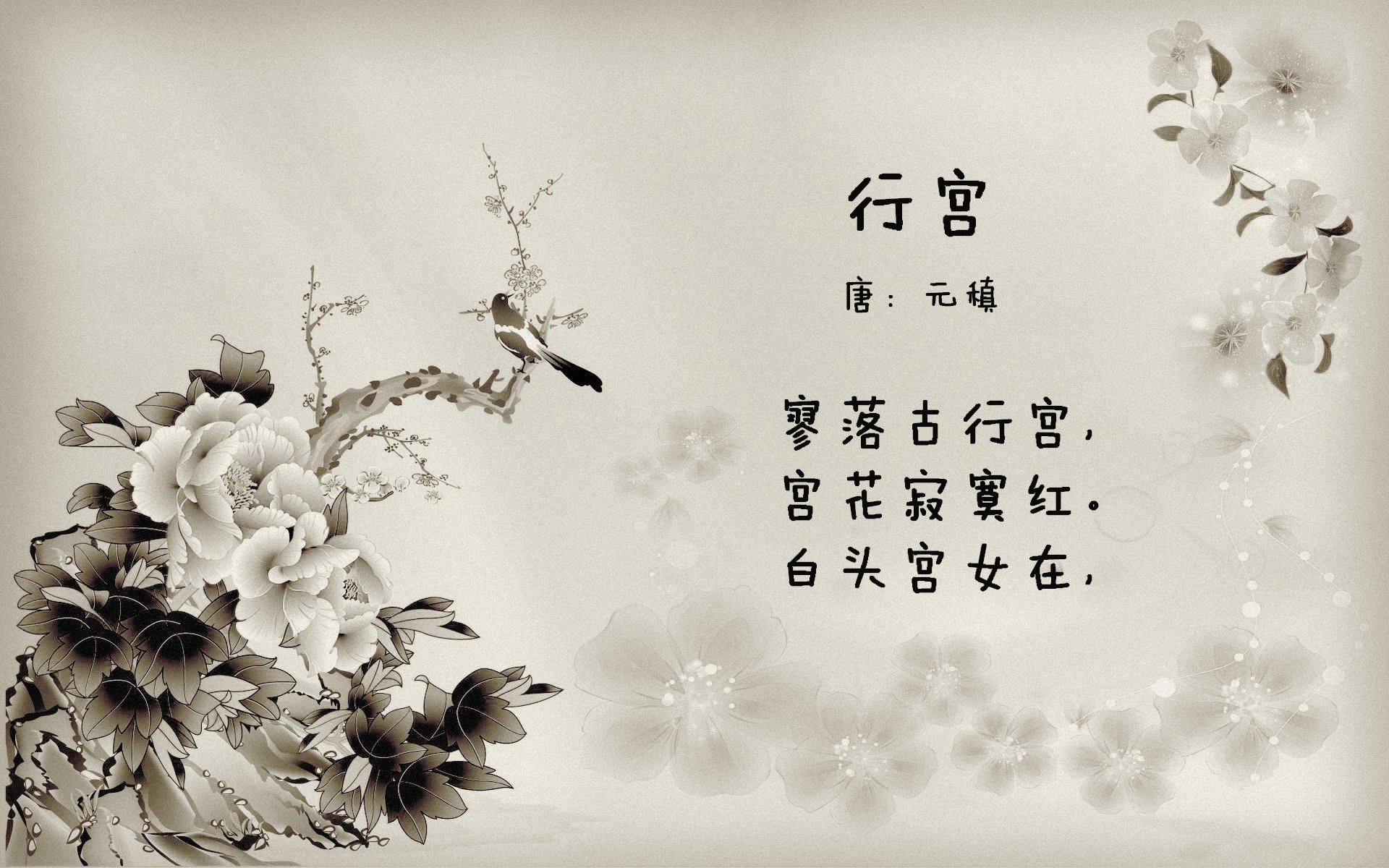 地平线上唯一的交锋,当北欧冰刃划破北非热土,罗德里戈定义2026的不可复制